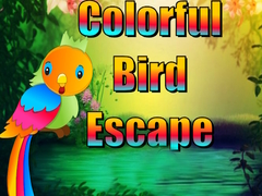 Hry Colorful Bird Escape