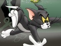 Hry Tom And Jerry Chase In Marsh