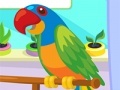 Hry Parrot Care