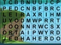 Hry Search words 9