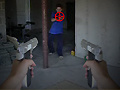 Hry First Person Shooter In Real Life 3