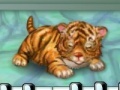 Hry My tiger