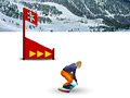 Hry Snowboard slalom