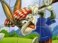 Hry Bugs Bunny And Daffy Puzzle