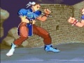 Hry Street Fighter World Warrior