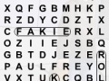 Hry Skater Word Search