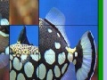 Hry Fish Slide Puzzle 