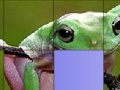 Hry Frog Slide Puzzle