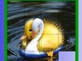 Hry Cute Chicks Slide Puzzle