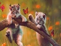 Hry Cute naughty cats slide puzzle