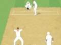 Hry Cricket Umpire Decision