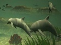 Hry Big dolphins slide puzzle