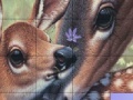 Hry Deers and Lovely Day Slide Puzzle