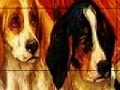 Hry Red umbrella dogs slide puzzle