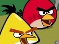 Hry Memory - Angry Birds
