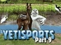 Hry Yeti Sports: Part 9 - Final Spit