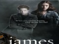 Hry Twilight-James Jigsaw