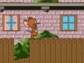 Hry Tom and Jerry: Nibbles recuse