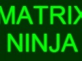 Hry Matrix Ninja