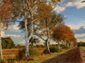 Hry Russian Road