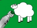 Hry Shear The Sheep