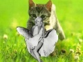 Hry Kitty saevs the day!