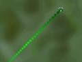 Hry Snake Maze