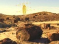 Hry Treasure Hunt-Desert Forest