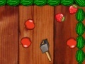 Hry Fruts Gon Wild