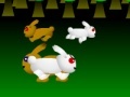 Hry Hare Fighter