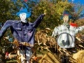 Hry Scarecrow