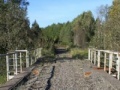 Hry Diamond Bridge Escape