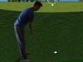 Hry Flash Golf 3D