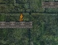 Hry Bunny Adventure