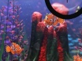 Hry Finding Nemo hide and seek