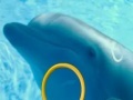 Hry Dolphin Tale 2 Hidden Alphabets