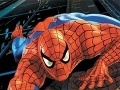 Hry Spider-Man: Puzzles