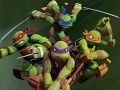 Hry Teenage Mutant Ninja Turtles: Throw back!