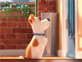 Hry Hidden Letters in The Secret Life of Pets