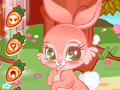 Hry Cute Bunny