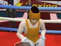 Hry Summer Sports: Boxing