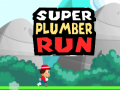 Hry Super Plumber Run