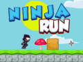 Hry Ninja Run 