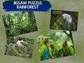 Hry Jigsaw Puzzle Rain Forest 