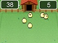 Hry Corral chickens in a chicken coop