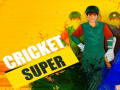 Hry Super Cricket      