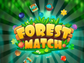 Hry Forest Match