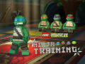 Hry Teenage Mutant Ninja Turtles: Ninja Training