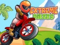 Hry Extreme Bikers