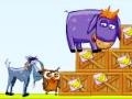 Hry Donkey Sean